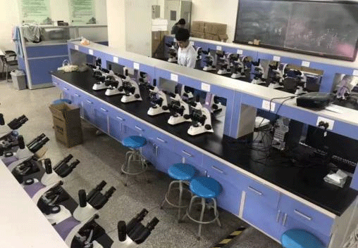 生物手机在线免费看片.png