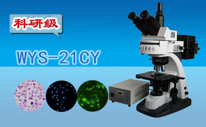 荧光手机在线免费看片.jpg