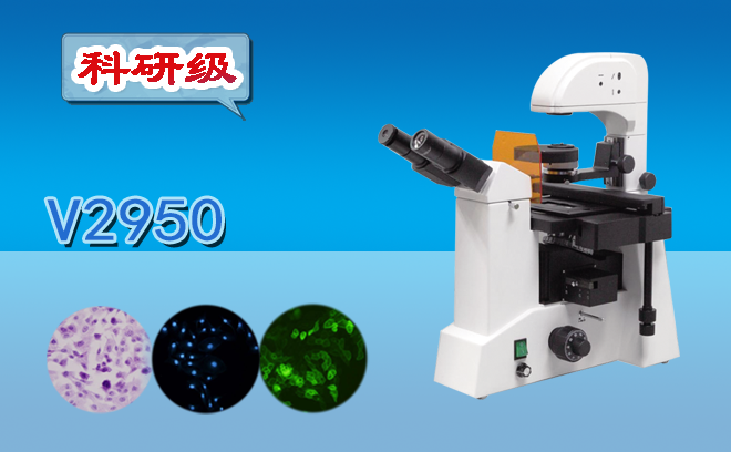 荧光手机在线免费看片.png