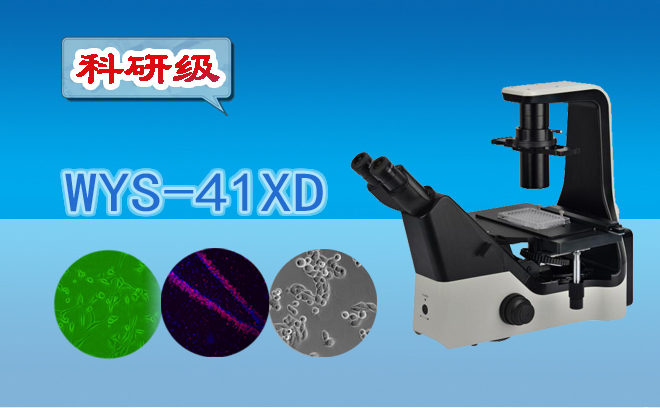 倒置生物手机在线免费看片.jpg