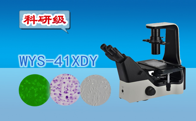 倒置荧光手机在线免费看片.jpg