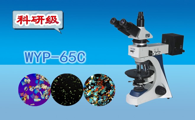 偏光手机在线免费看片.jpg