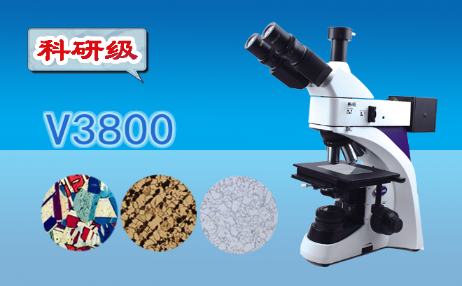 金相手机在线免费看片.png