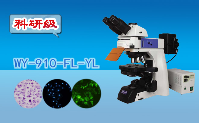 荧光手机在线免费看片.png