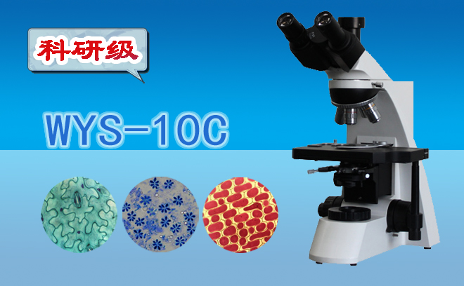 生物手机在线免费看片.jpg