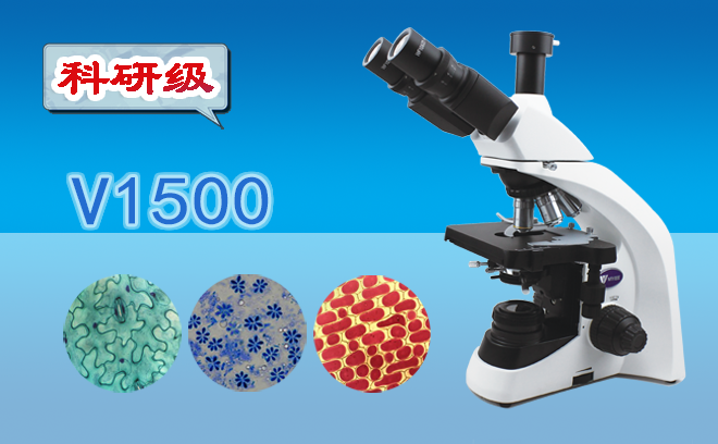 生物手机在线免费看片.png